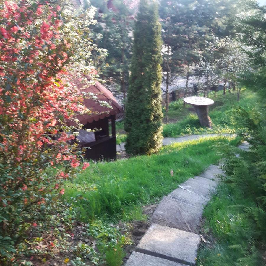 Casa Gyero Villa Sovata Bagian luar foto